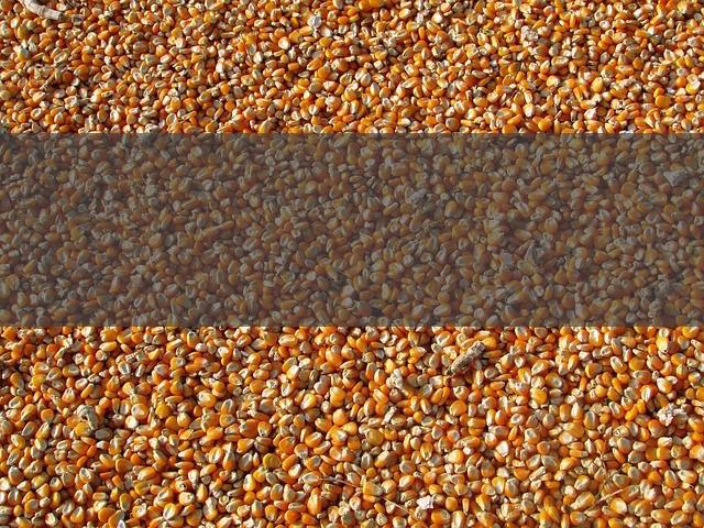 Nahrungsmittel-Intoleranzen